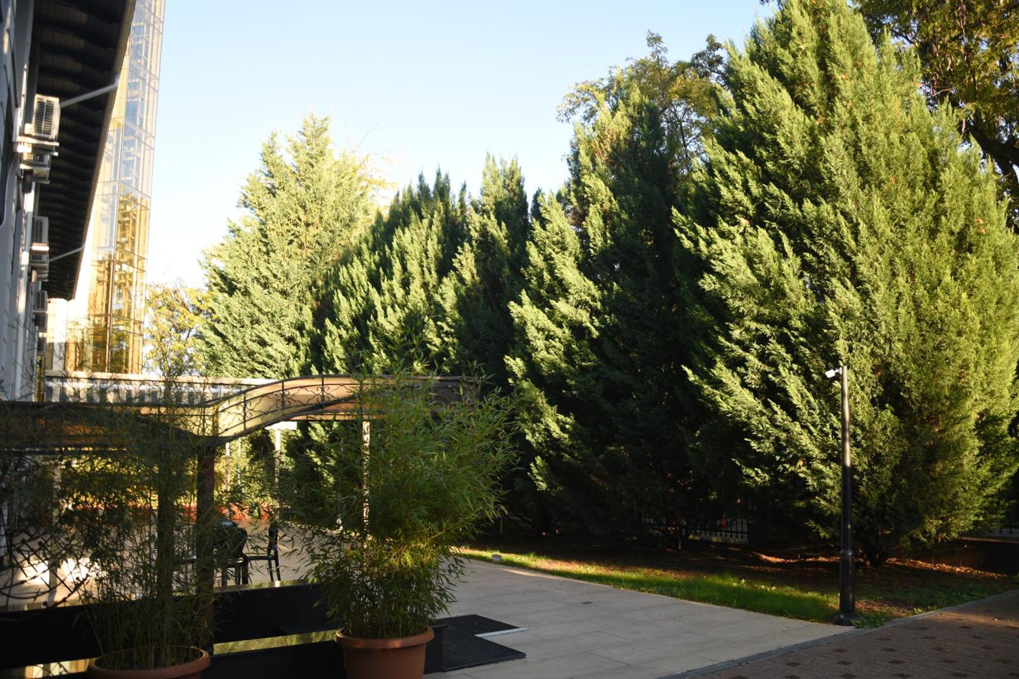 Hotel Royal Florence Kişinev Dış mekan fotoğraf